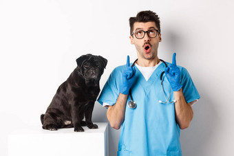 英俊的年轻的医生兽医诊所指出手指惊讶站可爱的黑色的哈巴狗狗白色背景