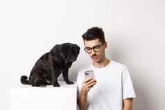 年轻的男人。显示照片智能手机可爱的狗宠物老板哈巴狗盯着移动电话白色背景