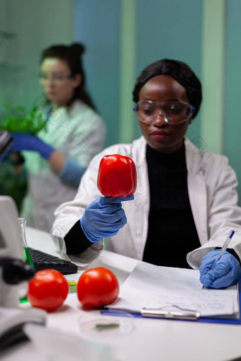 非洲美国化学家研究者医生分析胡椒注射农药