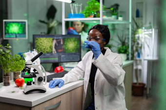 非洲<strong>美国化学家</strong>女人研究员绿色叶样本