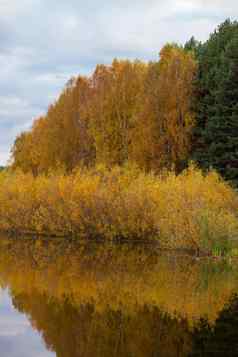 色彩斑斓的树叶树反射平静池塘水秋天一天