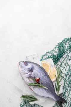 新鲜的海鲤科鱼鱼绿色鱼网高质量照片