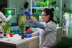 生物化学家科学家医生测量绿色树苗统治者