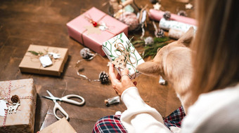 女人小狗狗包装圣诞节礼物盒子关闭裁剪女坐准备自然生态礼物地板上装饰元素快乐圣诞节一年Diy包装概念