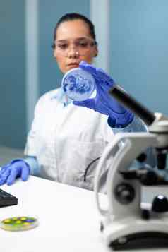生物化学家研究员女人持有佩特里菜分析蓝色的解决方案