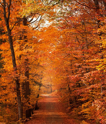 美丽的惊人的秋天的地方世界