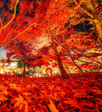 美丽的秋天世界图片