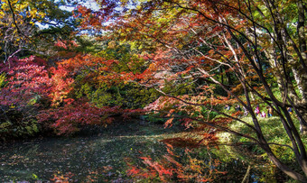 旅行世界美丽的秋天图片