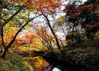 旅行世界美丽的秋天图片