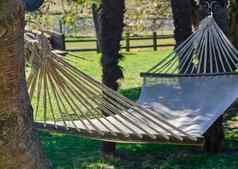 吊床树阳光明媚的一天农民放松休息冥想概念