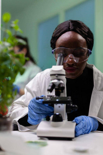 非洲<strong>美国</strong>生物<strong>化学家</strong>研究员分析绿色植物样本显微镜