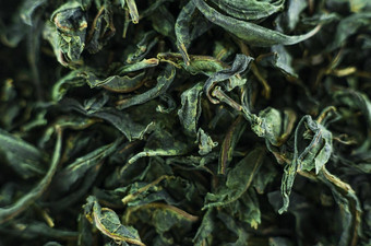 特写镜头集合干绿色茶叶子