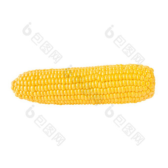 玉米结实的矮孤立的白色背沟
