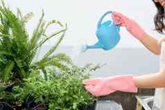 年轻的女人浇水植物城市阳台花园