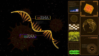 信使核糖<strong>核酸</strong>模型电脑黄色的监控研究分析信使核糖<strong>核酸</strong>保护科维德突变