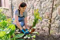 女围裙园艺手套铲种植开花植物