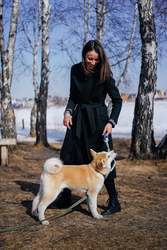 秋田<strong>犬犬</strong>儒狗绿色<strong>皮</strong>带戏剧绳子玩具女人黑暗绿色外套