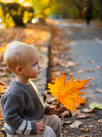 金秋天漂亮的男孩放松美秋天景观背景可爱的婴儿孩子走下降叶子秋天公园温暖的阳光明媚的秋天概念
