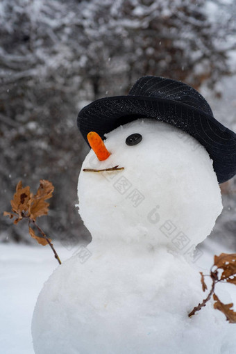 快乐雪人站冬天圣诞节景观雪人孤立的雪背景雪人雪一天雪人背景星星雪花