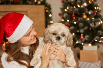 漂亮的女孩持有小狗手露出牙齿的微笑摆姿势舒适的房间圣诞节树礼物盒子女圣诞老人老人他玩北京人的狗