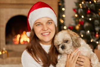女人露出牙齿的微笑拥抱小贵宾犬狗相机穿圣诞节他白色毛衣房间装饰灯x-mas树摆姿势壁炉