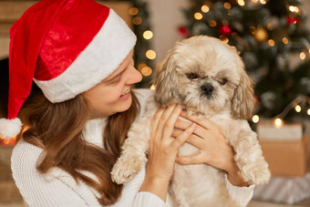 快乐女人狗圣诞节装饰摆姿势室内夫人穿白色跳投红色的圣诞老人老人他小狗微笑女北京人的庆祝假期