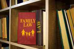 家庭法律离婚监护权架子上