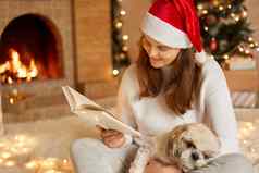 年轻的女人首页阅读书狗膝盖页面穿休闲服装红色的节日他摆姿势生活房间壁炉圣诞节树背景