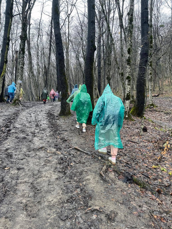 后视图游客雨衣走泥泞的森林多云的多雨的天气集团人徒步旅行树木繁茂的丘陵地形
