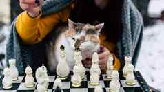 年轻的女人坐着猫玩国际象棋院子里女包装灰色格子坐着街宠物玩董事会游戏冬天季节