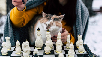 年轻的女人坐着猫玩国际象棋院子里女<strong>包装</strong>灰色格子坐着街<strong>宠物</strong>玩董事会游戏冬天季节