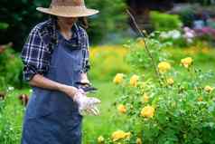 女人涉及到园艺农业园丁稻草他