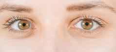 宏图像人类眼睛联系镜头女人的眼睛特写镜头人类眼睛长睫毛睫毛膏化妆品化妆