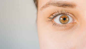 宏图像人类眼睛联系镜头女人的眼睛特写镜头人类眼睛长睫毛睫毛膏化妆品化妆