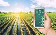 农民接收信息状态作物条件农业场电话过程作物成熟水分土壤营养先进的技术