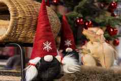 圣诞节精灵坐圣诞节树观赏安排冬天一年圣诞老人木偶斯堪的那维亚Gnome红色的他长胡子装饰圣诞节玩具