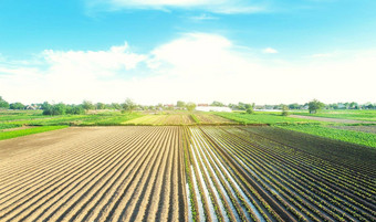 农场场种植农业植物日益增长的生产食物农村农村浇水作物农业行业农业综合企业农业欧洲农田传统的灌溉系统