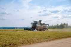 tracktor犁场收割机收成小麦播种农业场
