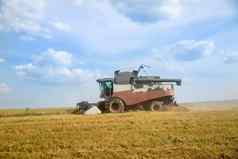 tracktor犁场收割机收成小麦播种农业场