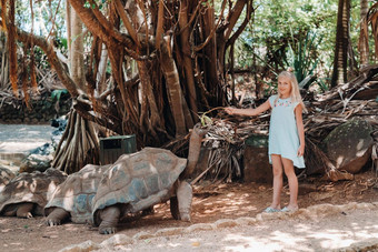 有趣的家庭娱乐毛里求斯女孩提要巨大的乌龟毛里求斯岛动物园
