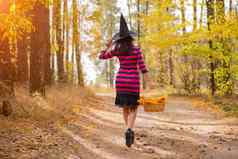 年轻的有吸引力的女巫走秋天橙色森林helloween概念