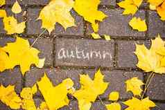 粉笔登记奥图姆沥青瓷砖秋天叶子前视图