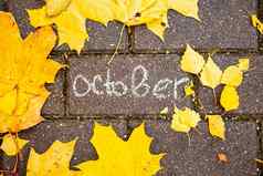 粉笔登记10月沥青瓷砖秋天叶子前视图