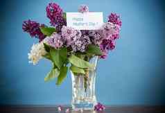 花束盛开的春天紫丁香花瓶蓝色的背景