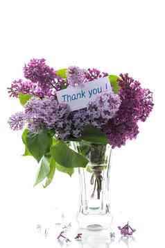 花束盛开的春天紫丁香花瓶白色背景