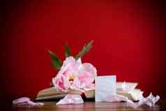 牡丹粉红色的美丽的花书问候卡
