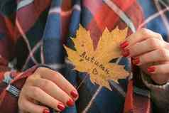 时尚的红色的女指甲秋天叶文本秋天手现代美丽的修指甲秋天指甲设计概念美治疗过来这里指甲皮肤护理