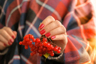 时尚的红色的女指甲手持有红色的醋栗现代美丽的修指甲秋天冬天指甲设计概念美治疗过来这里指甲皮肤护理