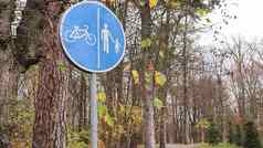 行人自行车路标志白色蓝色的标记背景树蓝色的天空公园秋天单独的车道行人骑自行车的人
