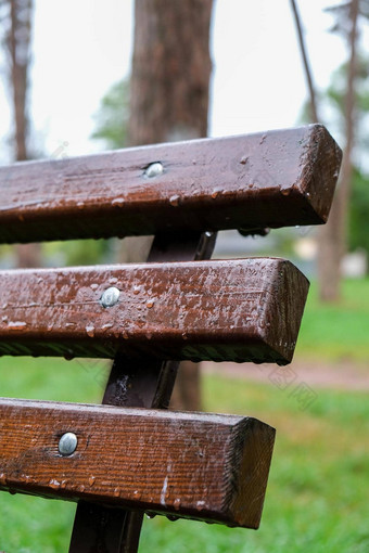 湿板凳上公园雨多雨的天气木椅子雨湿城市家具雨滴木板凳上